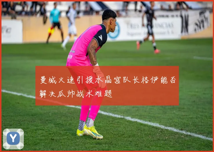 曼城火速引援水晶宫队长格伊能否解决瓜帅战术难题