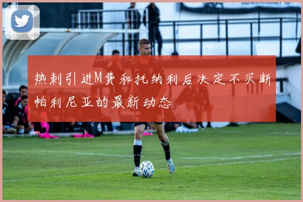 热刺引进M费和托纳利后决定不买断帕利尼亚的最新动态